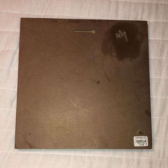 Vintage Style Sea World Shell Collection Wall Art - Picture 5 of 11